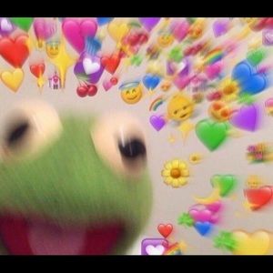 Meet your Posher, Ana